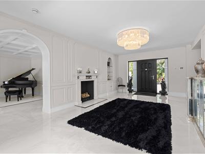 Picture 7